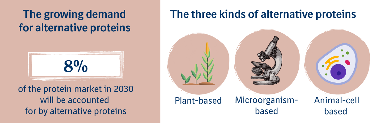 Alternative proteins infographic 对替代性蛋白质的需求不断增长:到2030年,替代性蛋白质将占到蛋白质市场份额的8%。目前共有三种替代性蛋白质:植物基、微生物基和动物细胞基