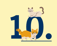 Cat vaccination No.10 Cat vaccination No.10