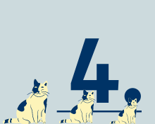 Cat vaccination No.4 Cat vaccination No.4