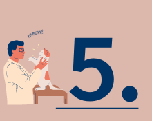 Cat vaccination No.5 Cat vaccination No.5
