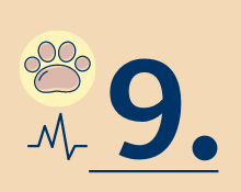 Cat vaccination No.9 Cat vaccination No.9
