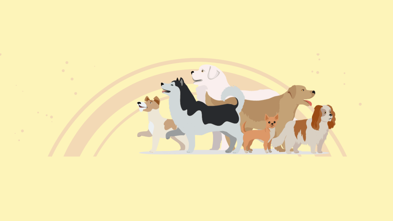 Life_stages_dogs Life_stages_dogs