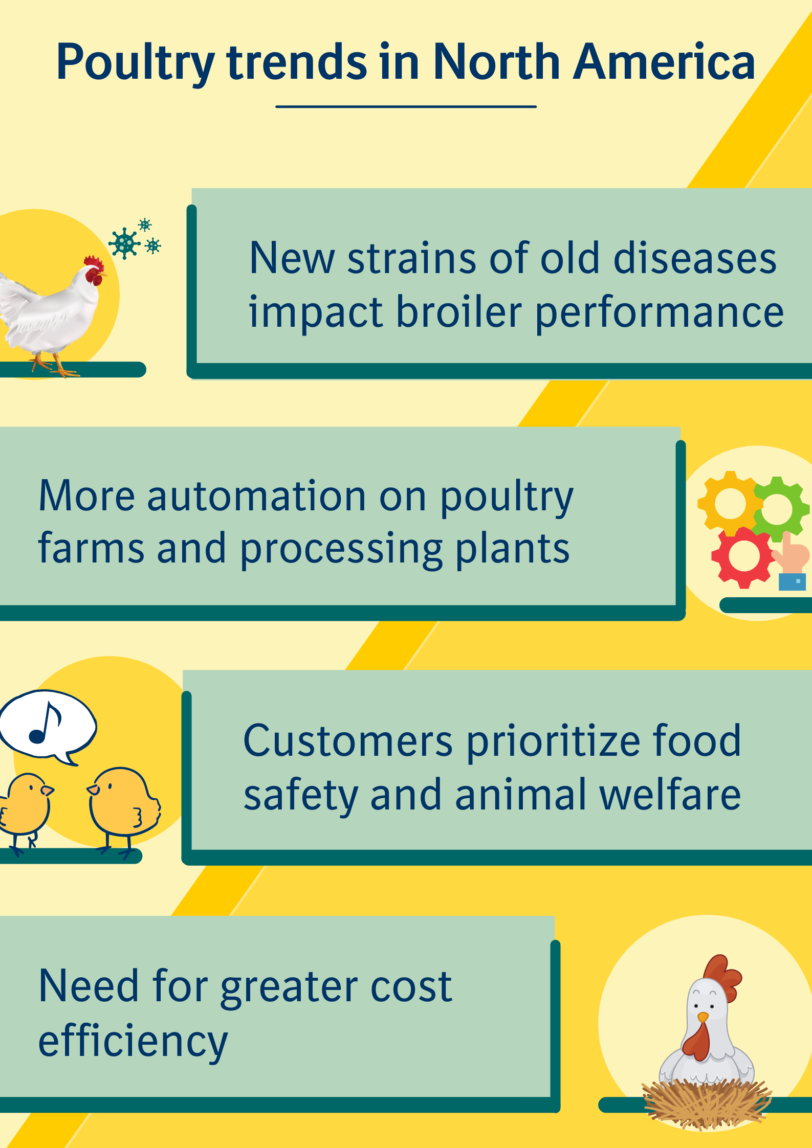 Poultry trends in North America Poultry trends in North America