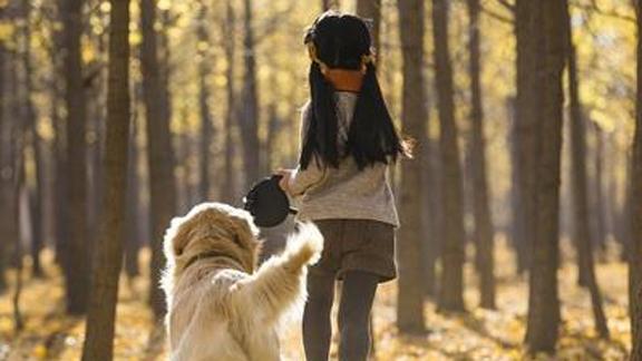Rabies Awareness 秋日树林里的小女孩和狗