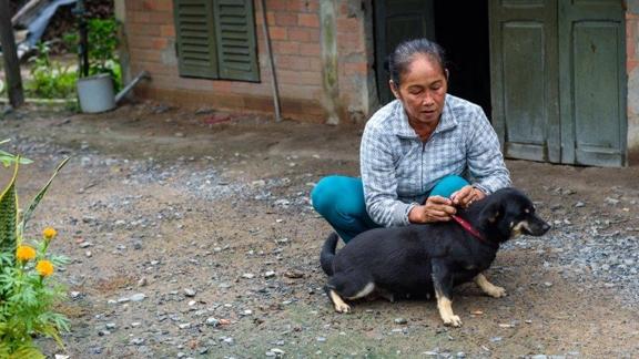 VIETNAM owner and dog VIETNAM owner and dog