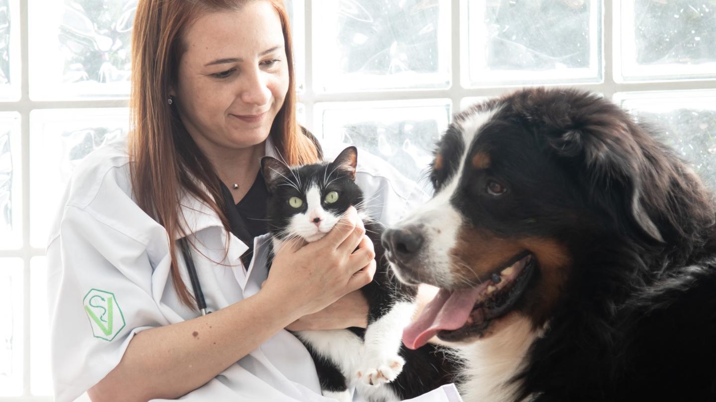 Value07_Veterinarian with cat and dog_skaliert Value07_Veterinarian with cat and dog_skaliert.jpg