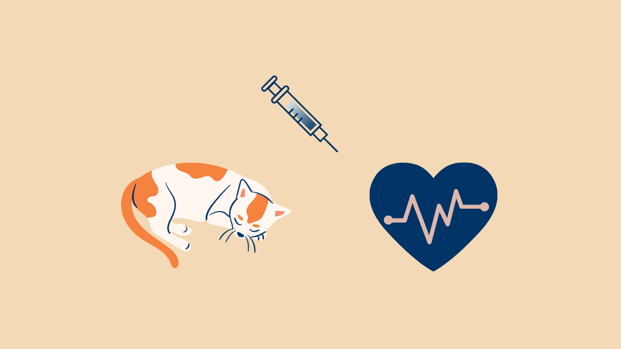 cat_health_1 cat_health_1