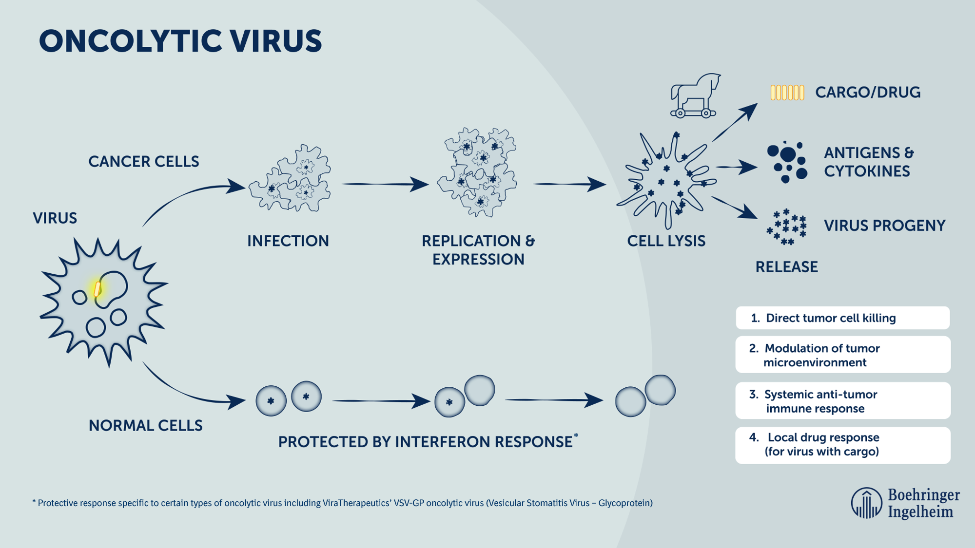 Oncolytic virus content